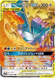 熱風のアリーナ カスミのラプラス ar 10枚セット まとめ売り