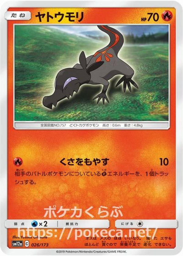 ヤトウモリ（ミラー）