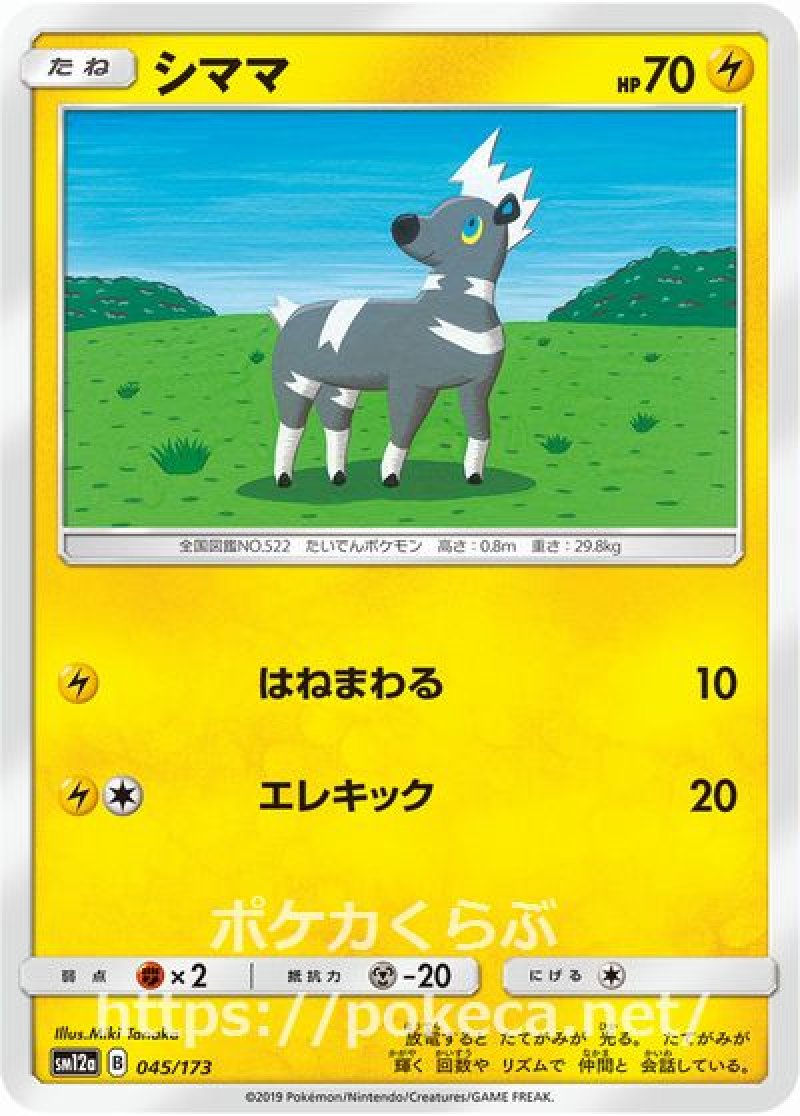 シママ（ミラー）