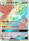 HRハイパーレア(SM) |ポケカくらぶ