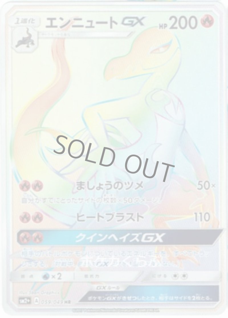 画像1: エンニュートGX HR (1)