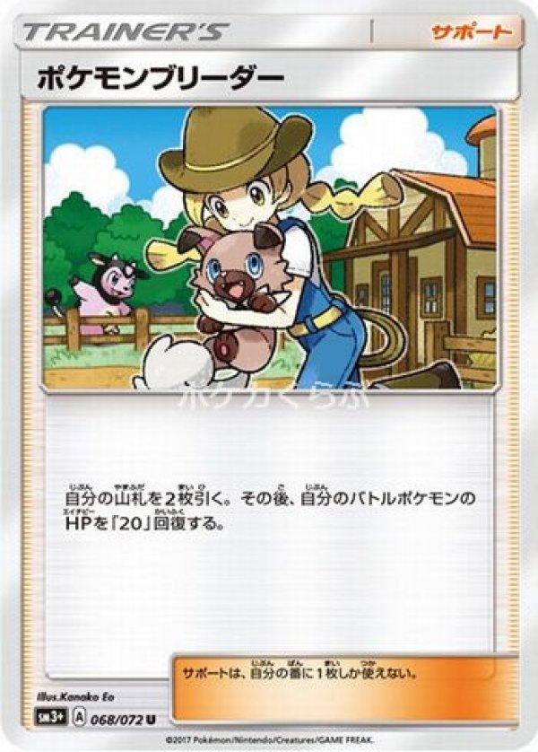 画像1: ポケモンブリーダー (1)