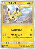 300円スタート！メガトウキョーのピカチュウ メガトウキョーのピカチュウ [ポケモンセンター メガトウキョー
