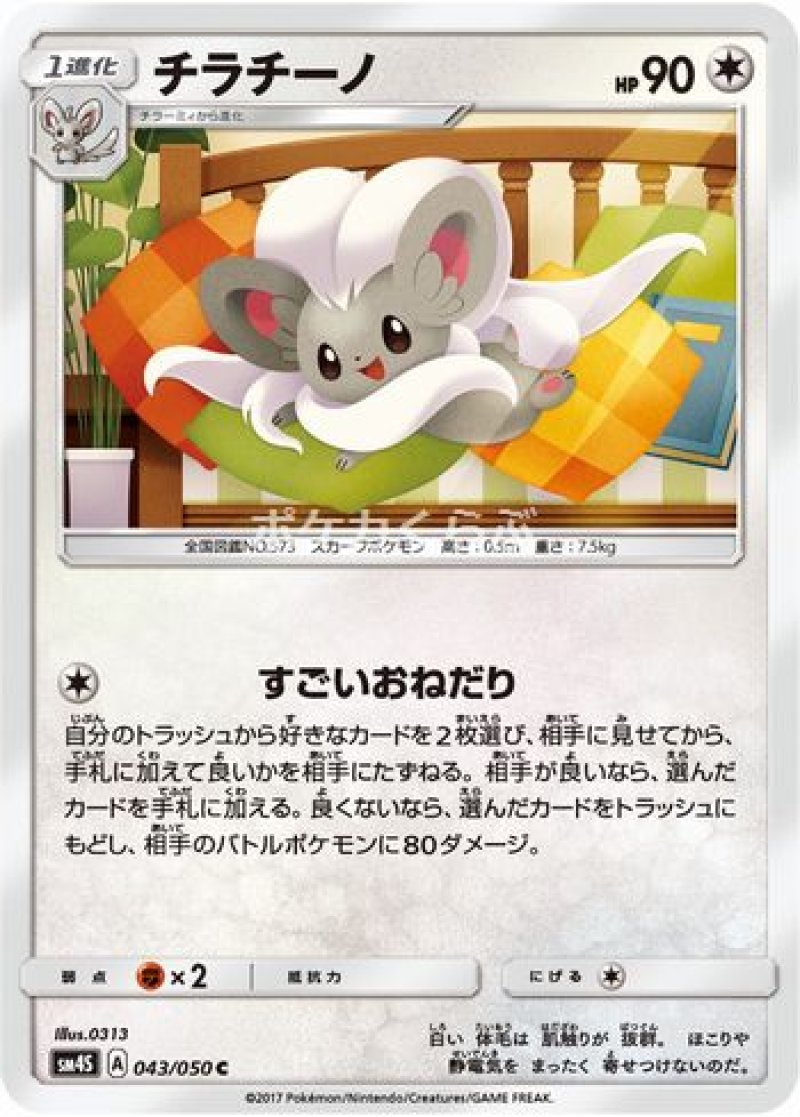 画像1: チラチーノ (1)