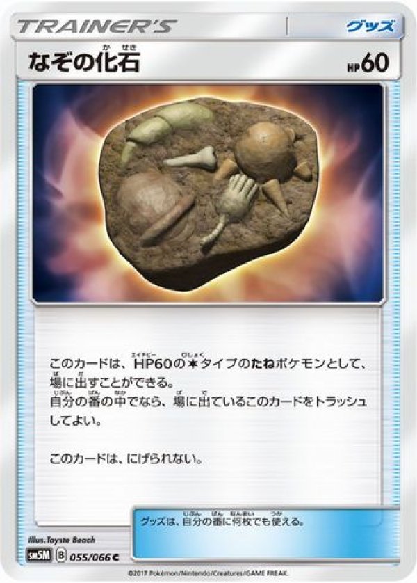 画像1: なぞの化石 (1)