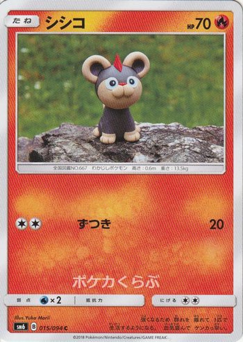 画像1: シシコ (1)