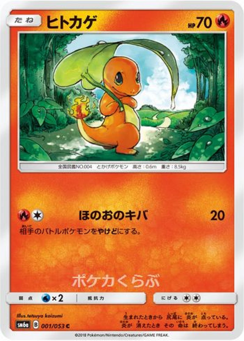 画像1: ヒトカゲ (1)
