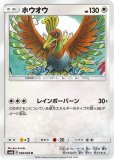 キズB　ポケモン　ホウオウ　250 状態A-】ホウオウGX SSR (210/150) [sm8b] の通販・買取価格