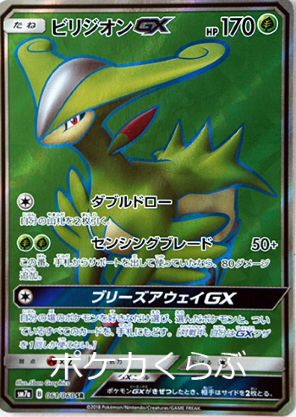 画像1: ビリジオンGX SR (1)