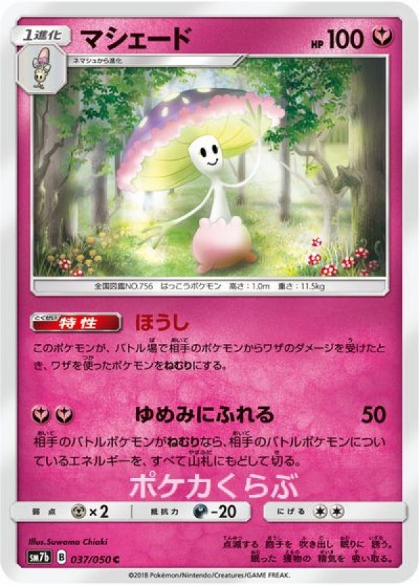 画像1: マシェード (1)