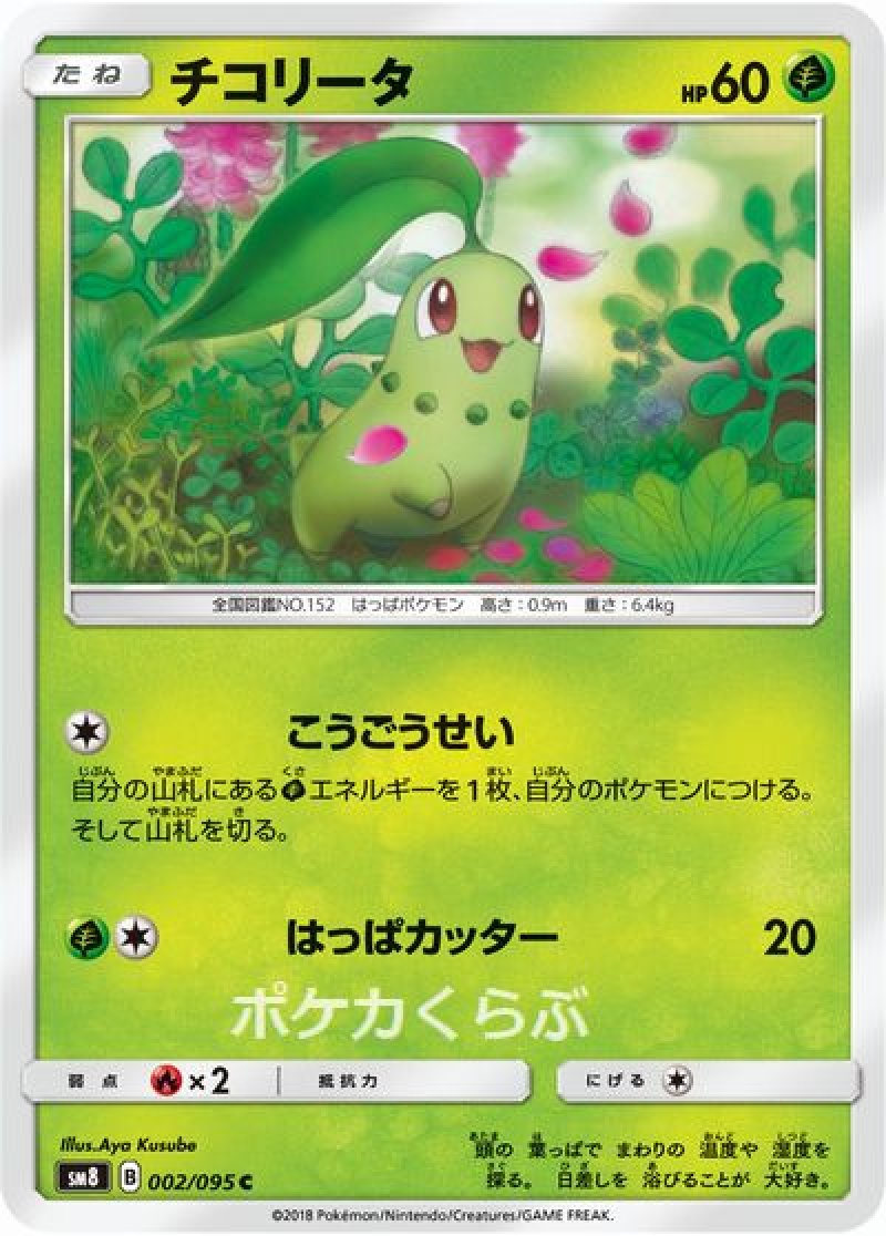 ポケモン - たーちー チコリータ（こうごうせい）