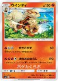 [A]炎エネルギー 091/S-P 6枚 炎 | 福福トレカ ポケモンカード専門店