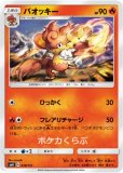 [A]炎エネルギー 091/S-P 6枚 商品情報 | ポケモンカードゲーム公式ホームページ