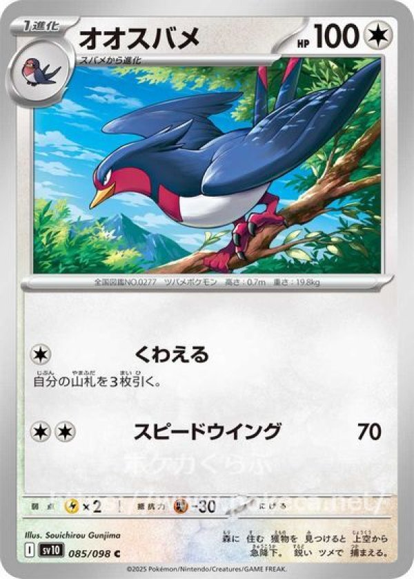 オオスバメ