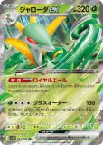 【超貴重エラー！完全エンボス加工無し！】レリーフ抜け　ジャローダex SR ジャローダex SR(ポケモンカードsv11B ブラックボルト)