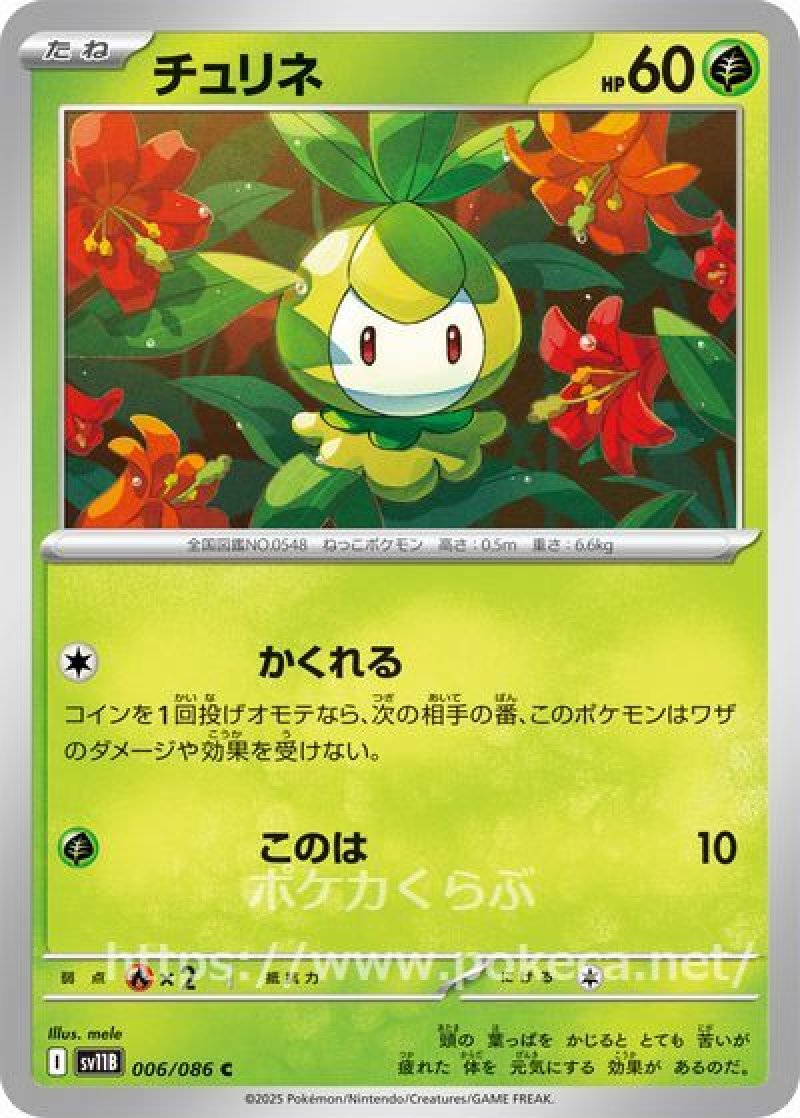 チュリネ（モンスターボールミラー）