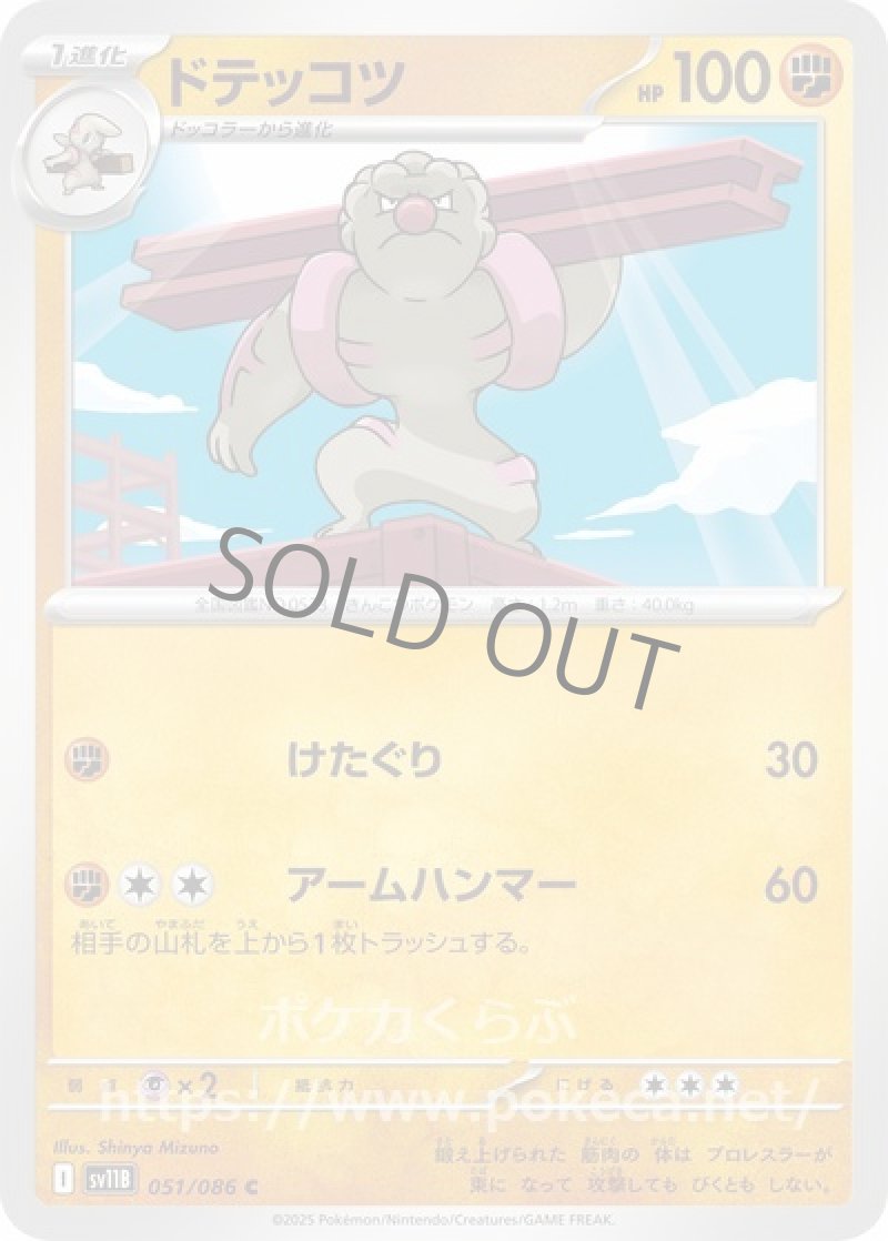 ドテッコツ（マスターボールミラー）