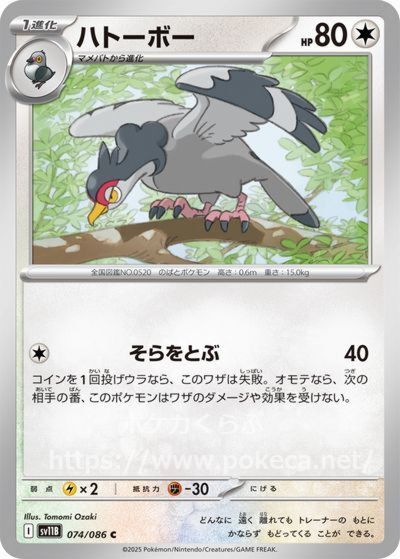 ハトーボー（モンスターボールミラー）