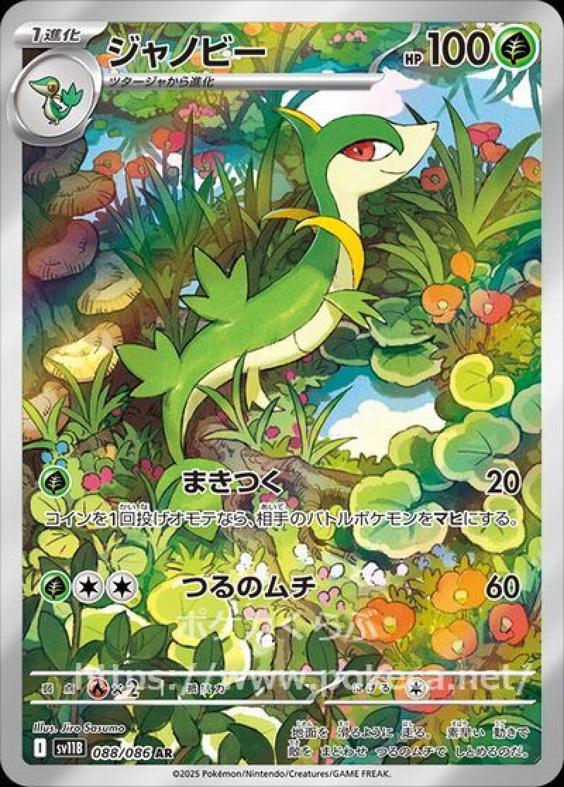 ツタージャ AR ジャノビー AR 20枚セット SV11B ブラックボルト ジャノビー AR(ポケモンカードsv11B ブラックボルト)