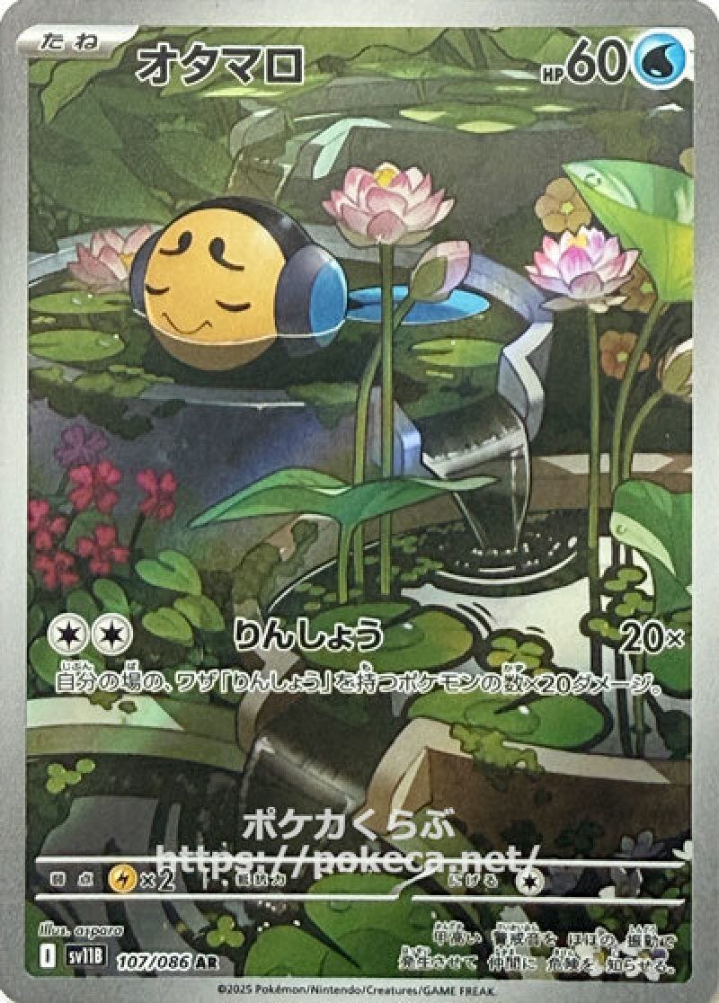 オタマロ　AR