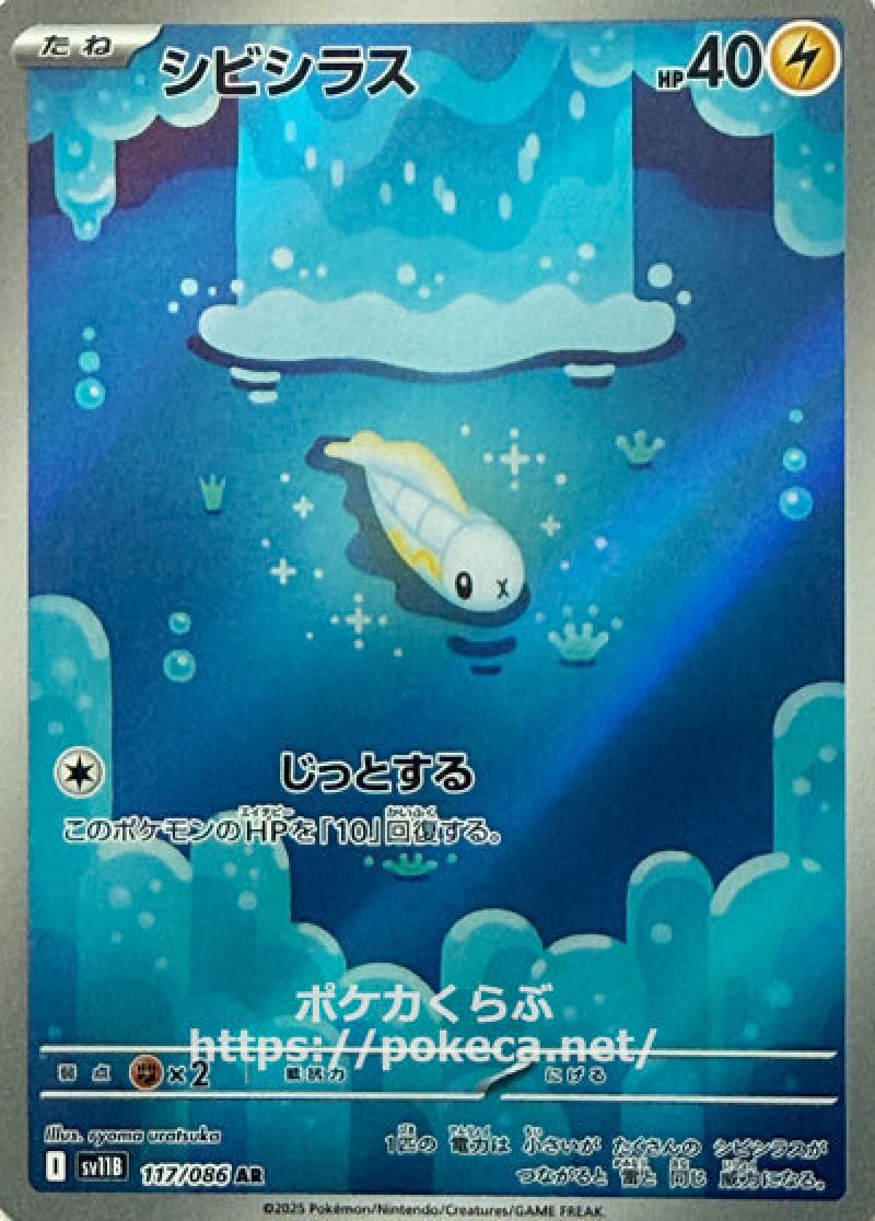 シビシラス　AR