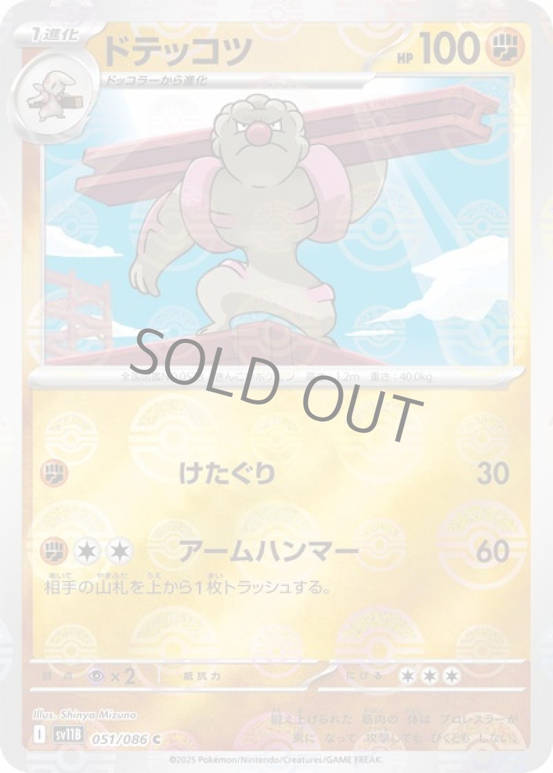 ドテッコツ（マスターボールミラー）