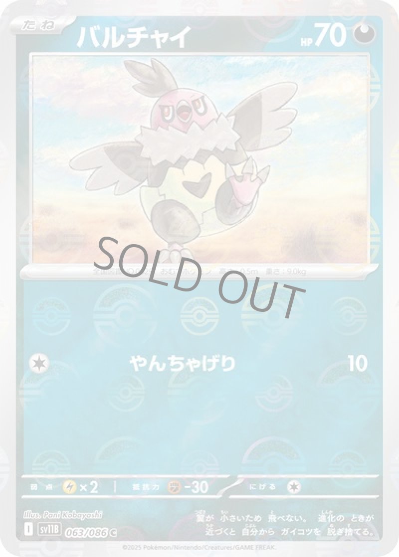 バルチャイ（マスターボールミラー）