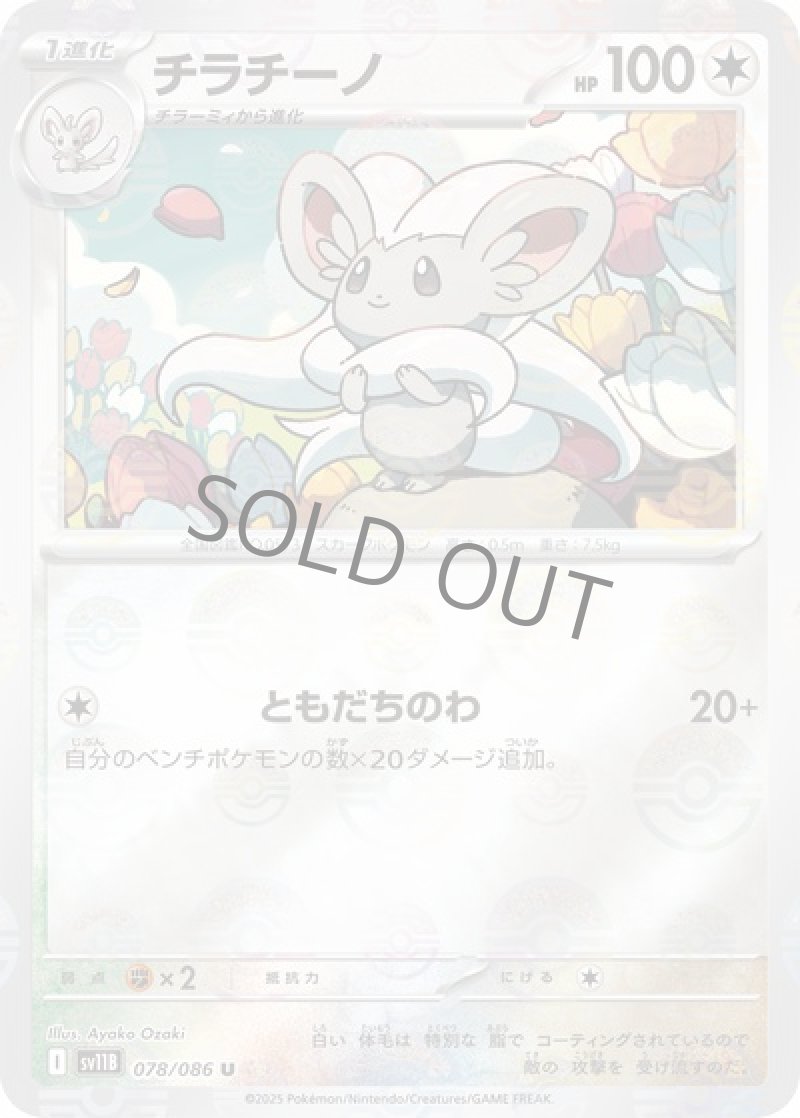 チラチーノ（マスターボールミラー）