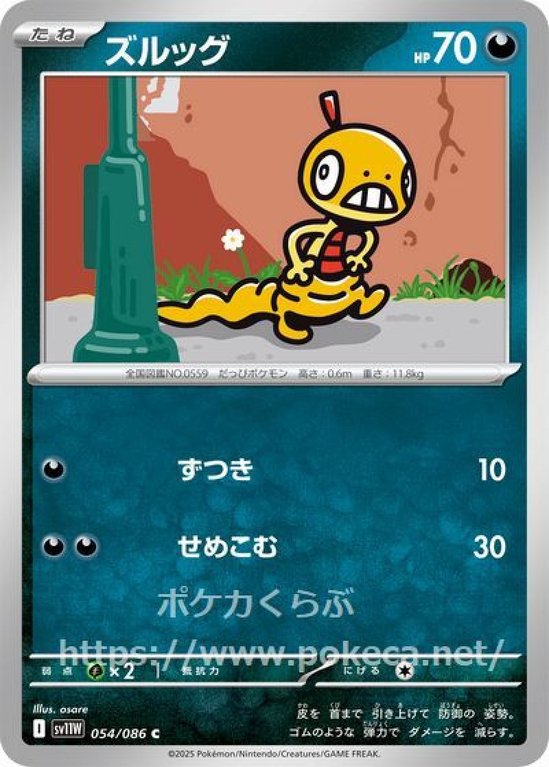 ズルッグ
