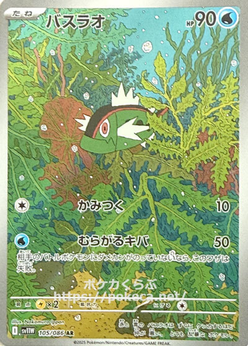 バスラオ　AR
