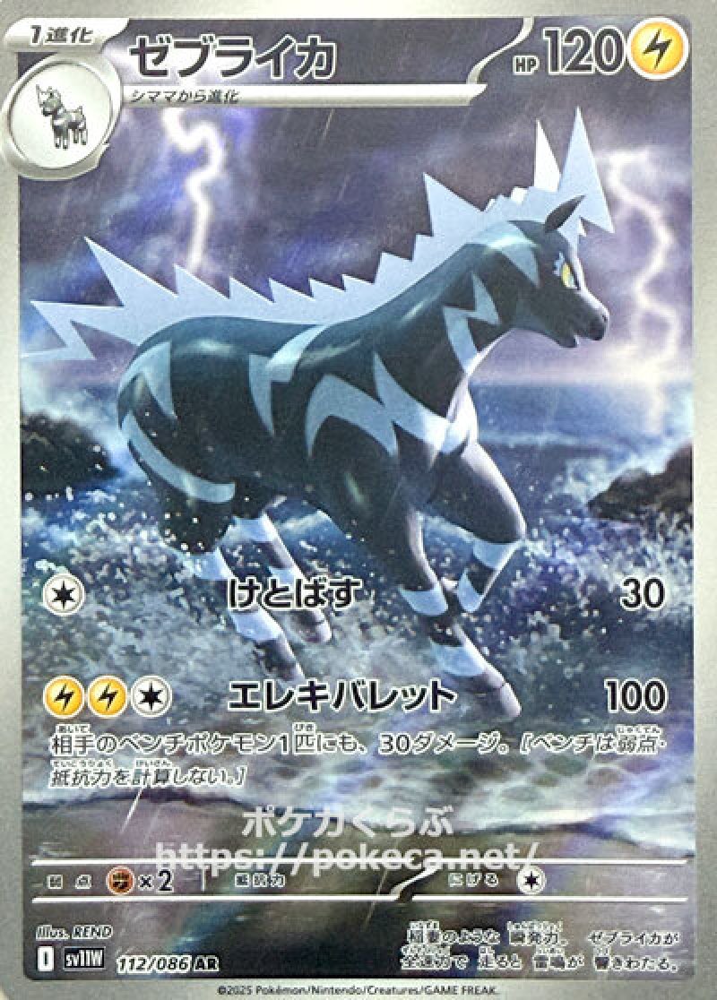 ゼブライカ　AR