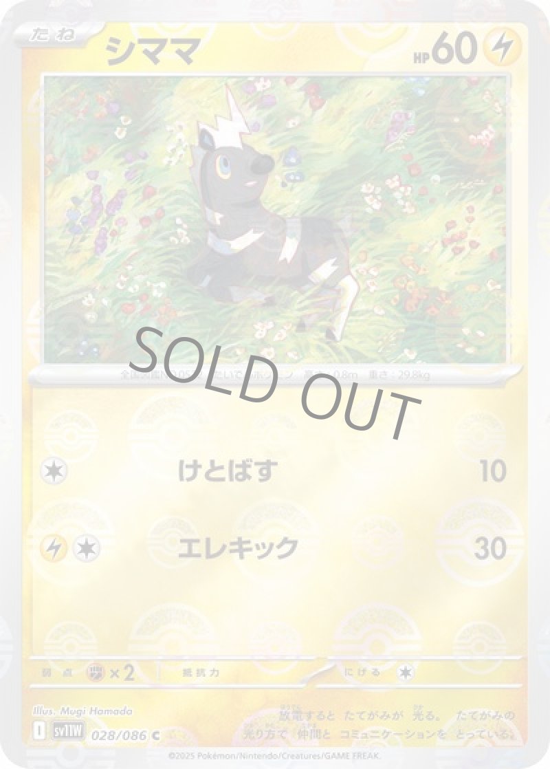 シママ（マスターボールミラー）