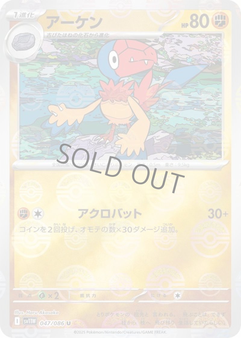 アーケン（マスターボールミラー）