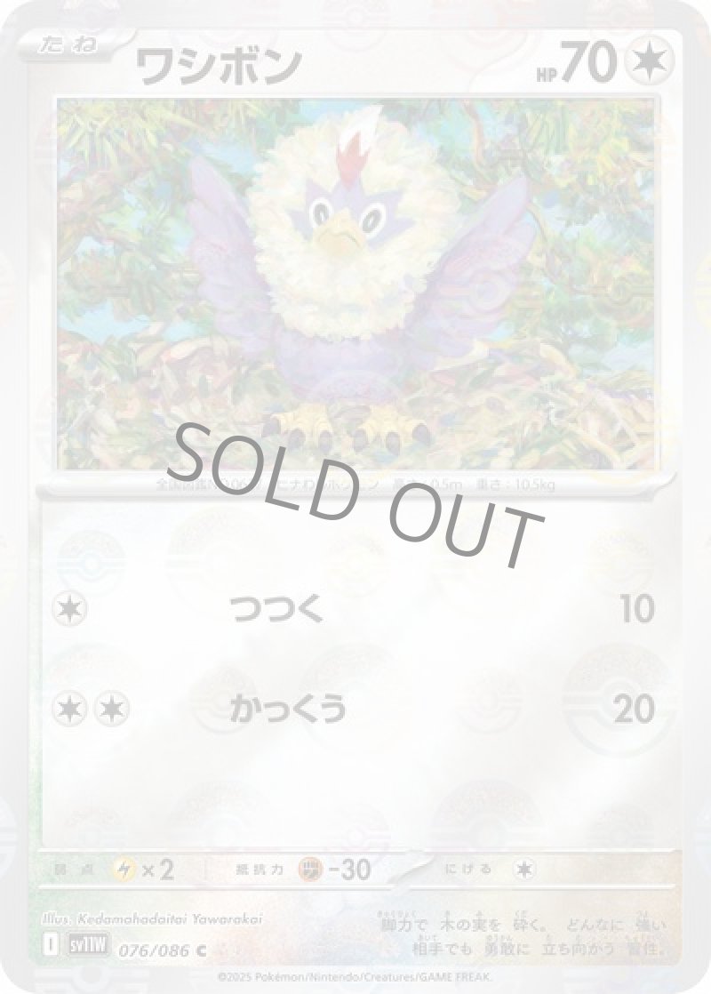 ワシボン（マスターボールミラー）