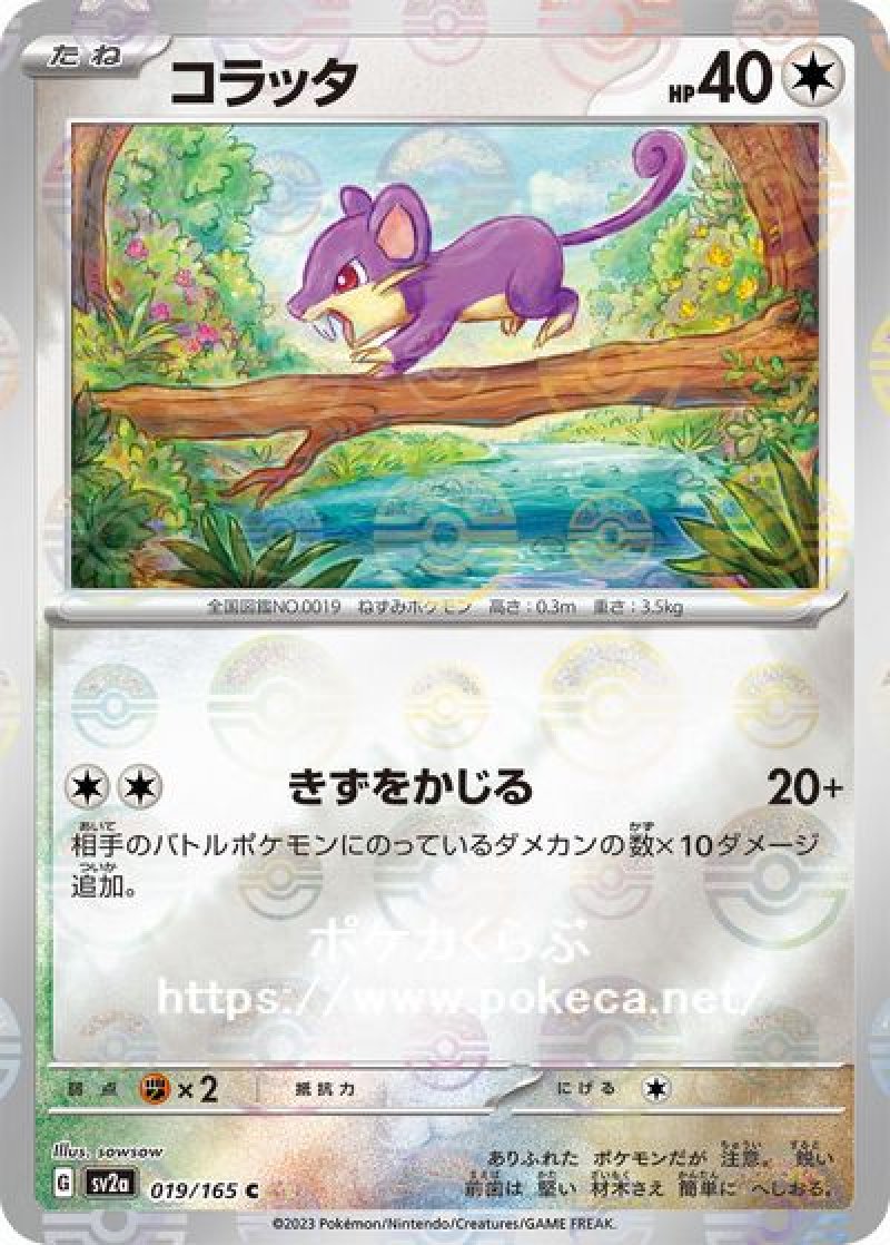コラッタ（ミラー）
