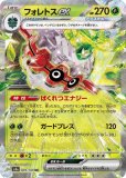 RR|シャイニートレジャーex|ポケカくらぶ