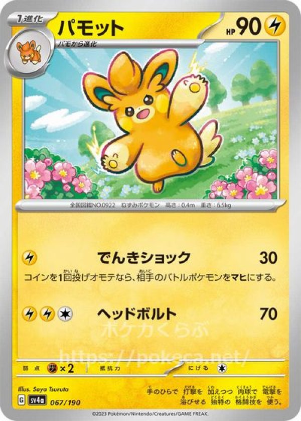 パモット