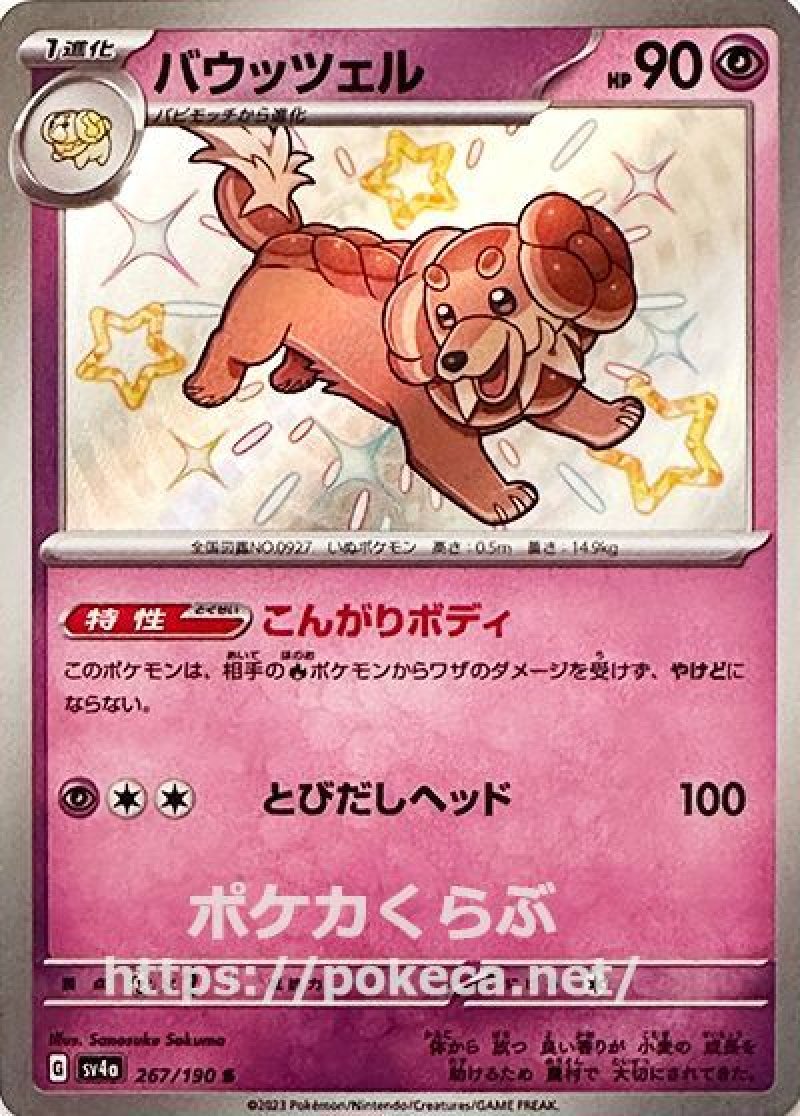 バウッツェル(色違い)