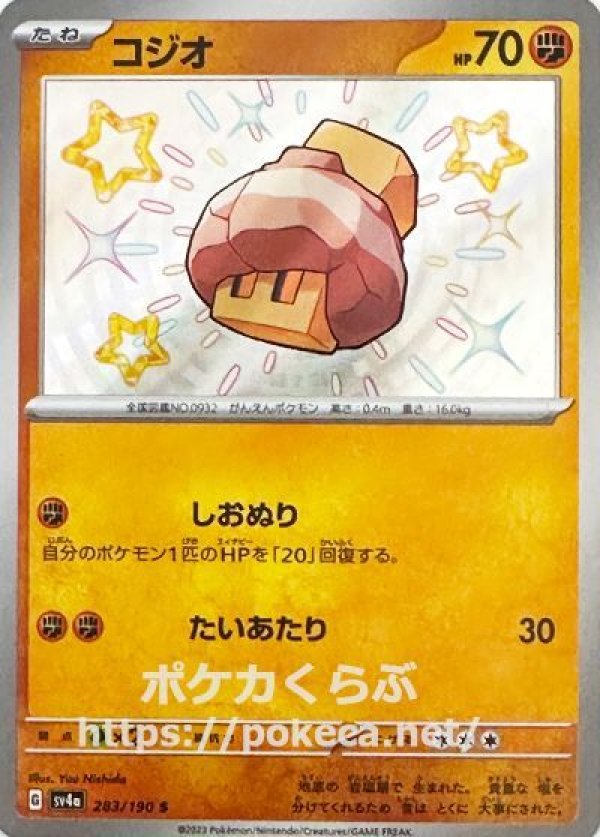 コジオ(色違い)