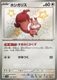 スナノケガワex（古代） SAR(ポケモンカードsv8a テラスタル