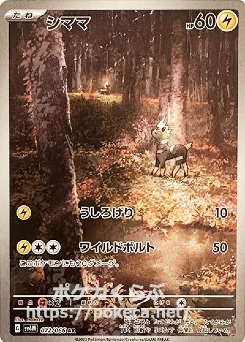シママ AR