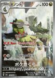 AR|ナイトワンダラー|ポケカくらぶ