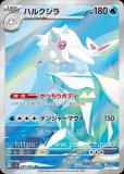 ロケット団のクロバットex SAR ハルクジラ ex SR セット ハルクジラex【SR】{113/098} - カードラッシュ[ポケモン]