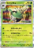 キラ|テラスタルフェスex|ポケカくらぶ