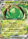 RR|テラスタルフェスex|ポケカくらぶ