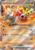 古代のコライドンex スターターデッキ＆ビルドセット「古代のコライドンex」「未来の