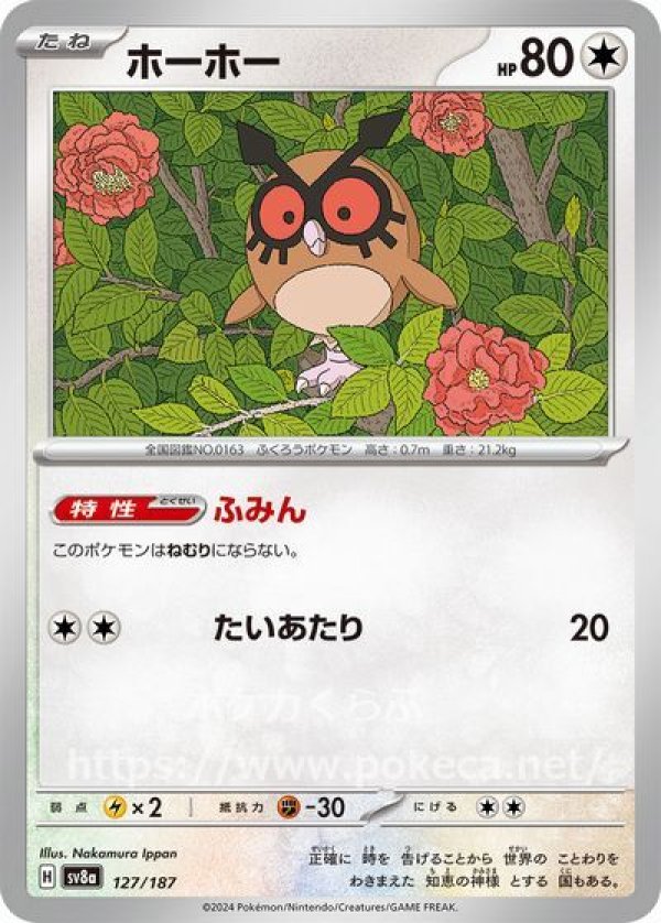 ホーホー