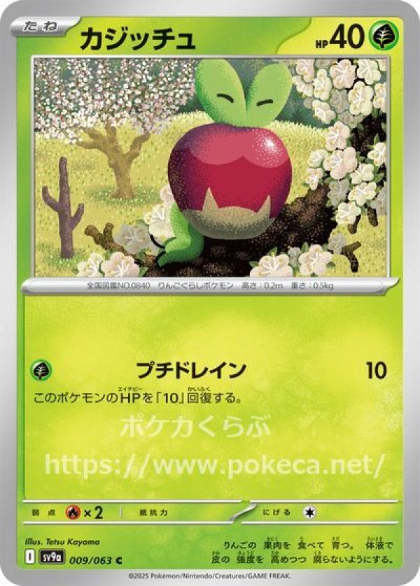カジッチュ