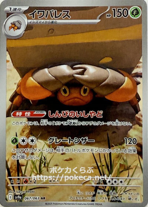 イワパレス　AR