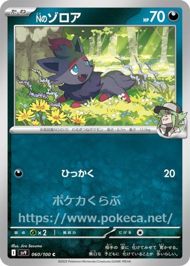 Nのゾロア